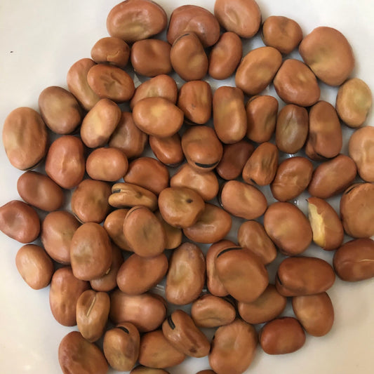 Fava Beans