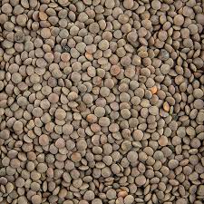 Brown Lentils