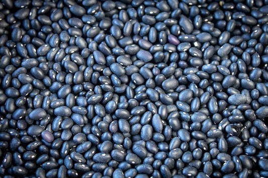 Black Turtle Beans